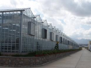 福建廈門玻璃溫室大棚 現代農業技術的農副產品生產典范