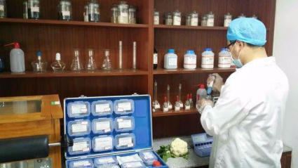 廣州農副產品批發市場 蔬菜配送服務助力酒店、學校與工廠需求