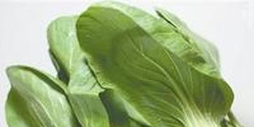 東莞農(nóng)副產(chǎn)品智能配送中心全面啟動(dòng) 高效服務(wù)惠及超兩萬居民